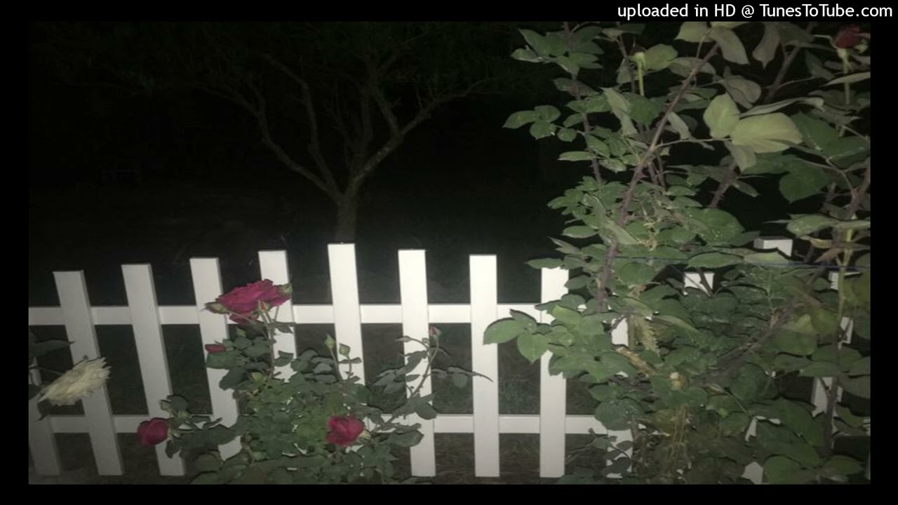 guardin x wicca phase springs eternal type beat 