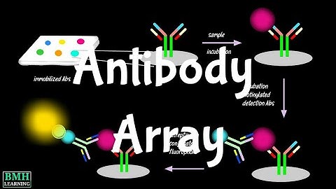 Antibody Array | Antibody Microarray | Protein Expression Profiling | Protein Microarray |