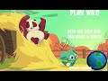 Middle of video