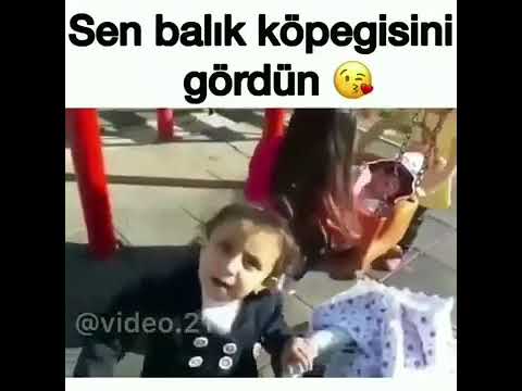 Sen Balik Kopegisini Gordun Youtube