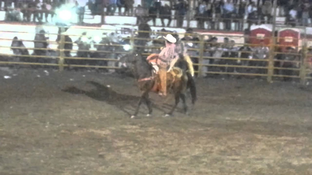 Octavio Gonzalez vs El Alma Negra de Gallinas camera iphone 8 plus apk