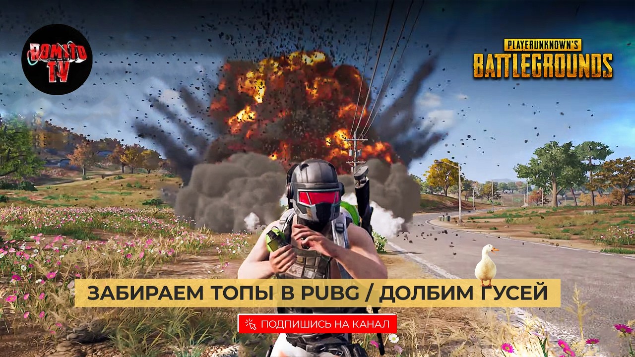 №1279 РОМИТО ЗАРЯЖАЕТ СЕРВЕР ПОЗИТИВОМ