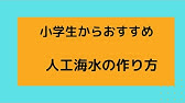 あさりの砂ぬきに 海水塩分濃度の作り方 Shorts Youtube