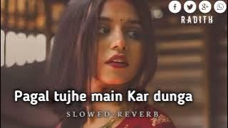 Paagal Tujhe Main Kar Doonga || slowed   Reverb || Hindi New Song 2024 #trending #viral