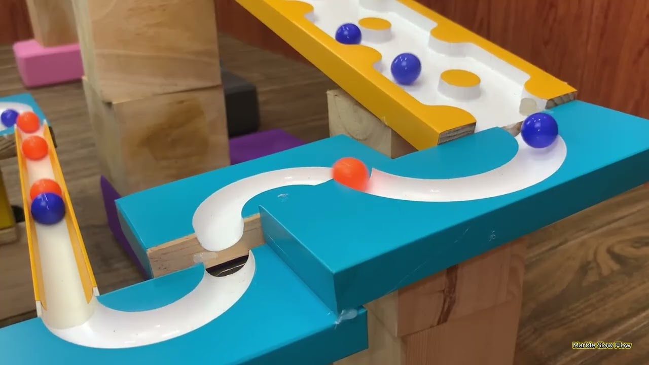 Marble Run Race ASMR Snack, Bus, Tractor 