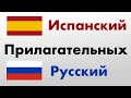 400 полезных прилагательных - Испанский + Русский - (носитель языка)