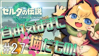 【#ゼルダの伝説ティアーズオブザキングダム 】自由奔放勇者(猫)の大冒険🐱🏹#27【#vtuber 】＃furry #ケモノvtuber
