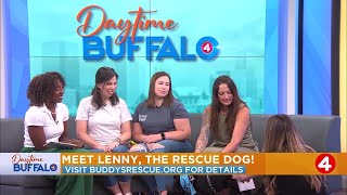 Daytime Buffalo: Meet Lenny the rescue dog from Buddy's Second Chance Rescue