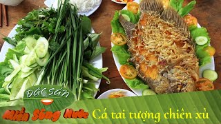 Cá tai tượng chiên xù, cuốn bánh tráng chấm mắm me cắn giòn tan thiệt đã! | Đặc sản miền sông nước