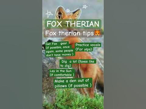 Fox therian tips🍁🍂🍄🪹 #therian #quadrobics #fox - YouTube