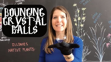 DIY Bouncing Harry Potter Crystal Balls - Science of Unpoppable Bubbles