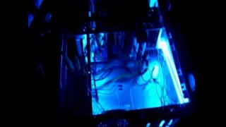 tour_new_neon.avi