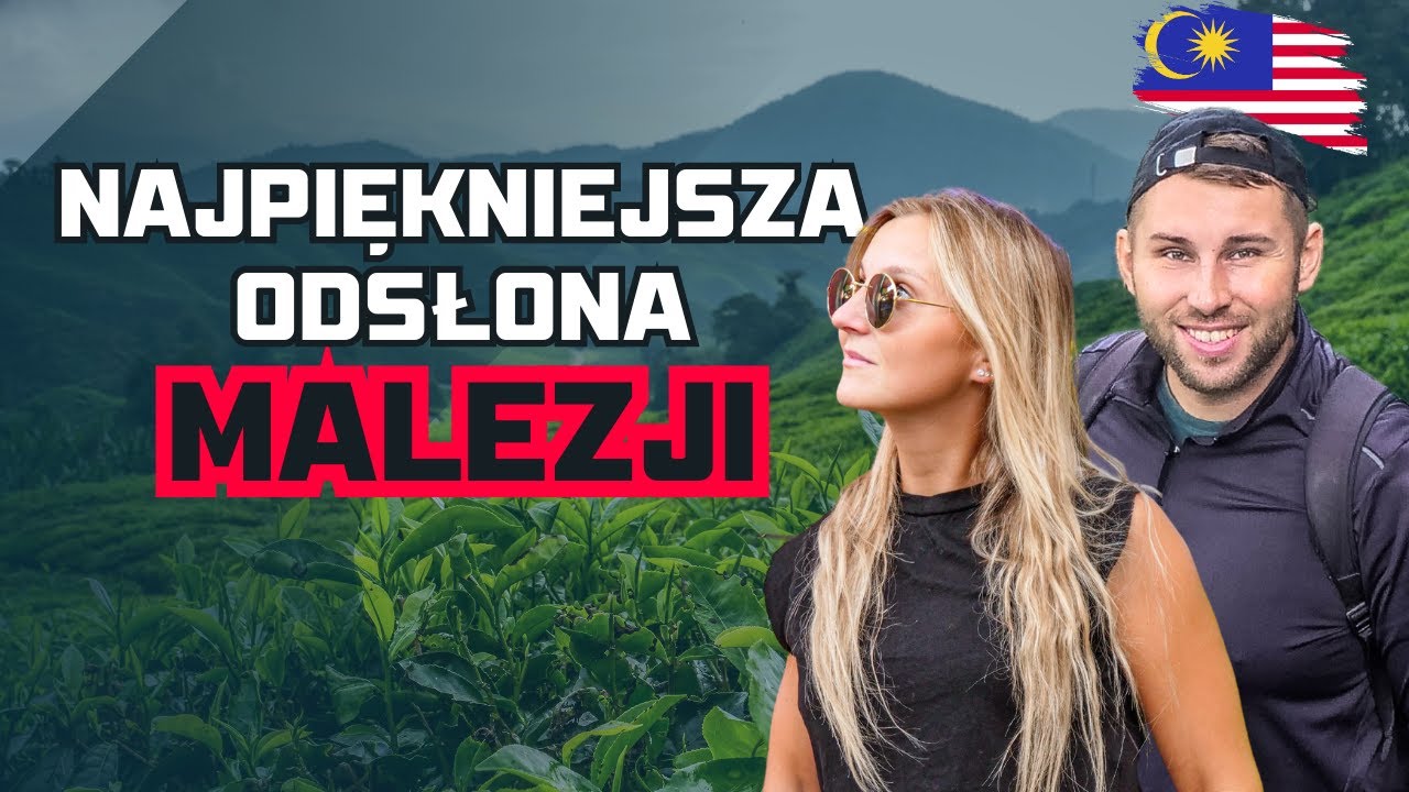 WĘDRÓWKA PO DŻUNGLI + OGROMNA PLANTACJA HEBRATY. CAMERON HIGHLANDS, MALEZJA 🇲🇾