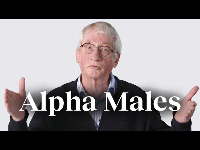 The 'alpha male' myth, debunked