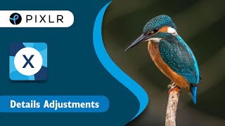 Quick & Easy Series: Detail Adjustment in Pixlr X screenshot 5