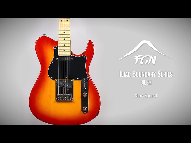 Электрогитара FUJIGEN BIL2M ILIAD BOUNDARY SERIES (Cherry Sunburst)