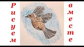 Как нарисовать птичку воробья. Уроки рисования для детей. как нарисовать птичку видео