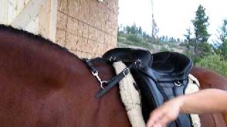 Sensation Ride - Attaching A Breastplate