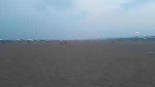 Chennai Melina Beach