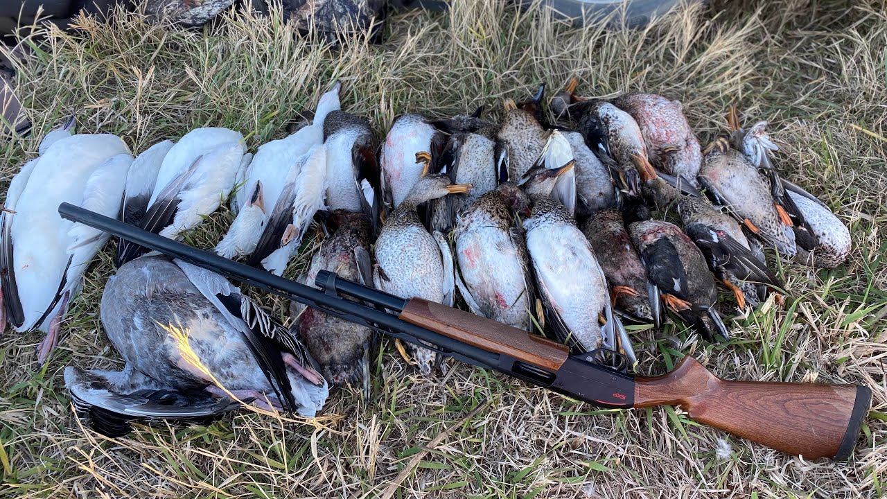 South Dakota public land duck hunting YouTube