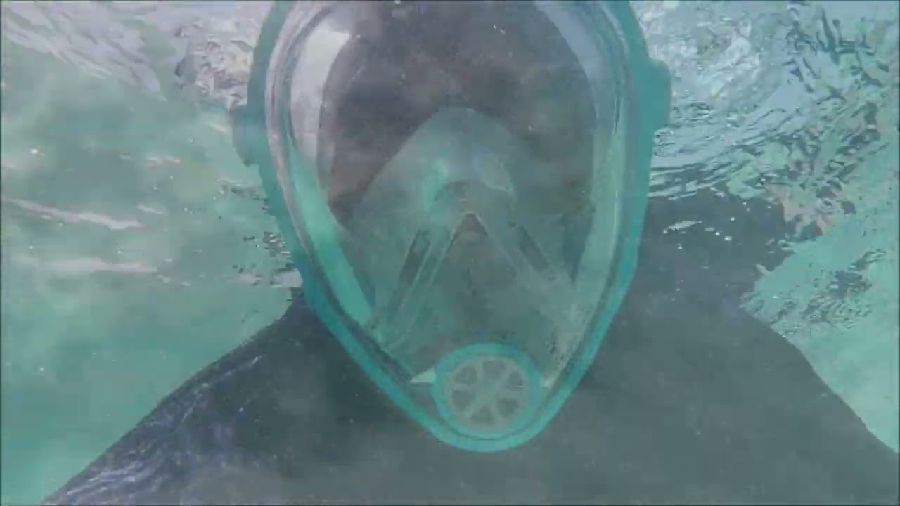 Schnorcheln in Sahl Hasheesh 11.09.2022