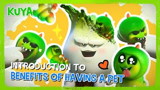 ✨ Introduction to Benefits of having a PET 🐛 | Life with a Companion | KUYA