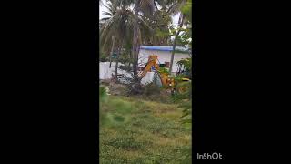 #coconut tree falling down #shwetha Chowdary @kannada_kutti_vlogs