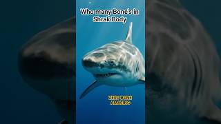 Shark #generalknowledge #shorts #ytshorts #youtube #quizgame #quiz #viralquiz #trivia #triviaquiz