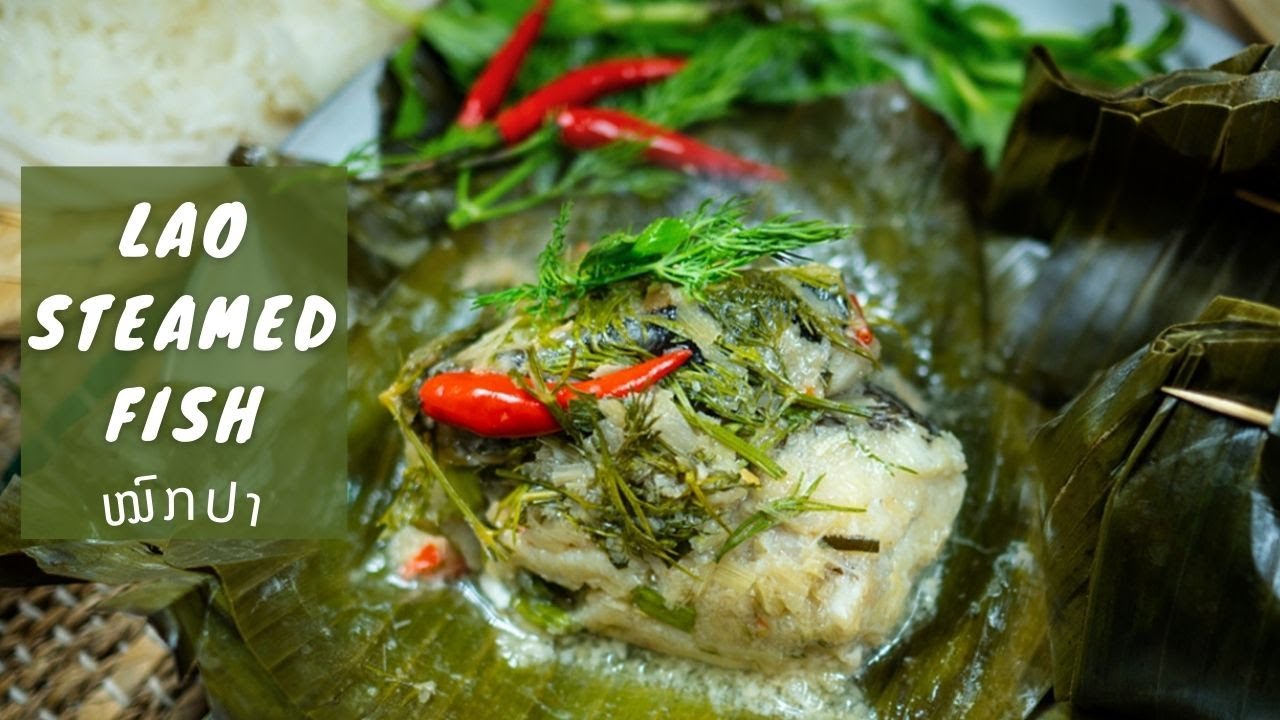 LAO STEAMED FISH IN BANANA LEAF MOK PA ໝົກປາ YouTube