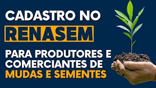 Renasem Produtores E Comerciantes De Tes E Mudas Devem Se Cadastrar No Renasem