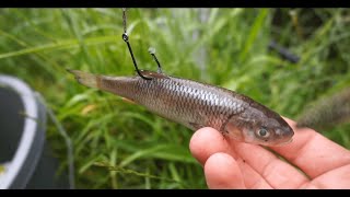 Pike Fishing With Circle Hooks (New PB!)