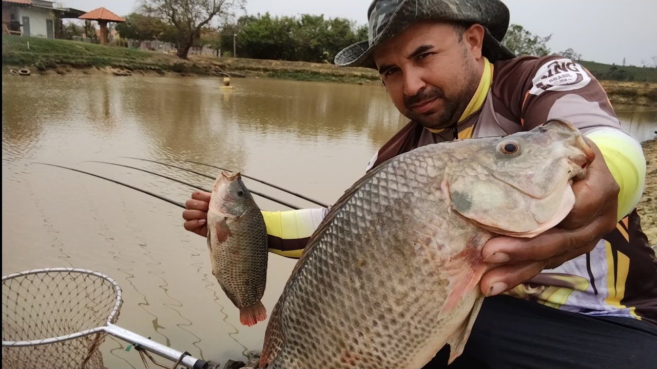 um dos melhores sistema para pescar tilápia