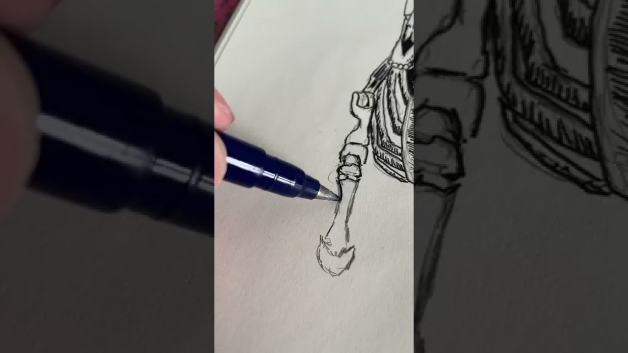 Horse skeleton drawing 