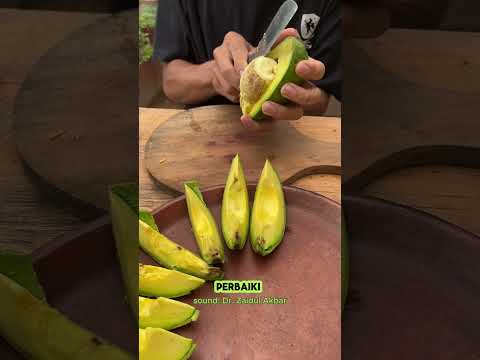 tips gemuk ala