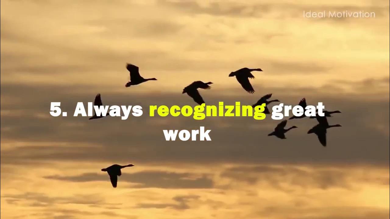 Wisdom Of The Geese Best Motivational Video Wisdom Of The Geese Best Motivational Video - YouTube