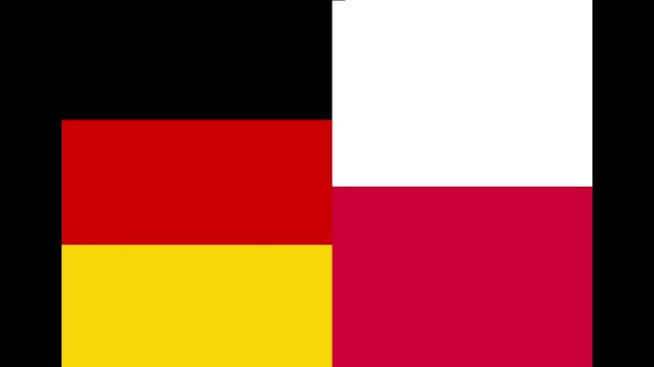 New Update Deutsche vs Polnische Handwerker (German vs polish craftmen ENG SUB)