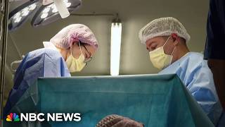 Ukraine's other front in its war with Russia: A fight to have more babies