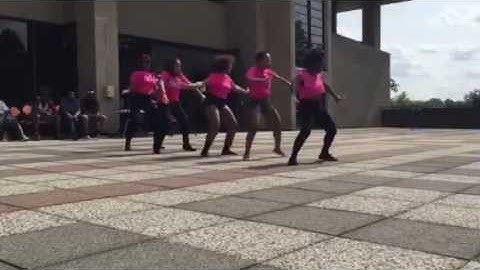 Sigma Lambda Gamma  New Paltz Yardshow 2015 -Pink Reign