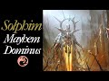 Solphim, Mayhem Dominus (Mono Red Burn) Commander Deck Tech