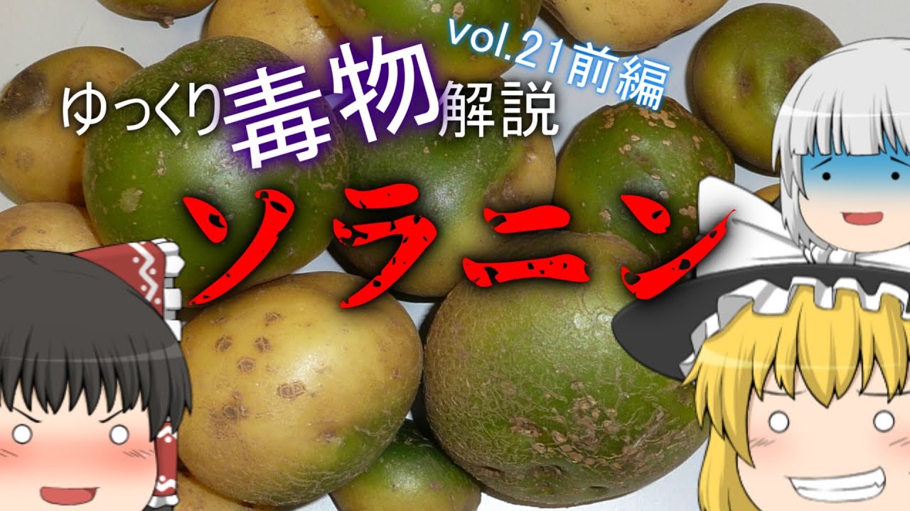 ゆっくり毒物vol.21前編　ソラニン【ゆっくり解説】