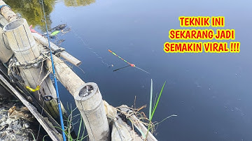 TEKNIK MANCING VIRAL ‼️ PAKAI TEKNIK INI PASTI SELALU DAPAT IKAN NILA BABON #mancinglobangikannila