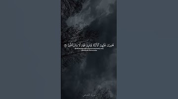 القارئ: عبدالرحمن الدلالي #اكسبلور #اسلام #دويتو #المصحف #لايك #تيك_توك #الرحمن #قرآن #ترند