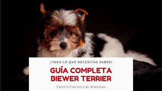 Criadero de Biewer Terrier en España, ¡protocolo de cría responsable! | Centro Canino Las Almenas