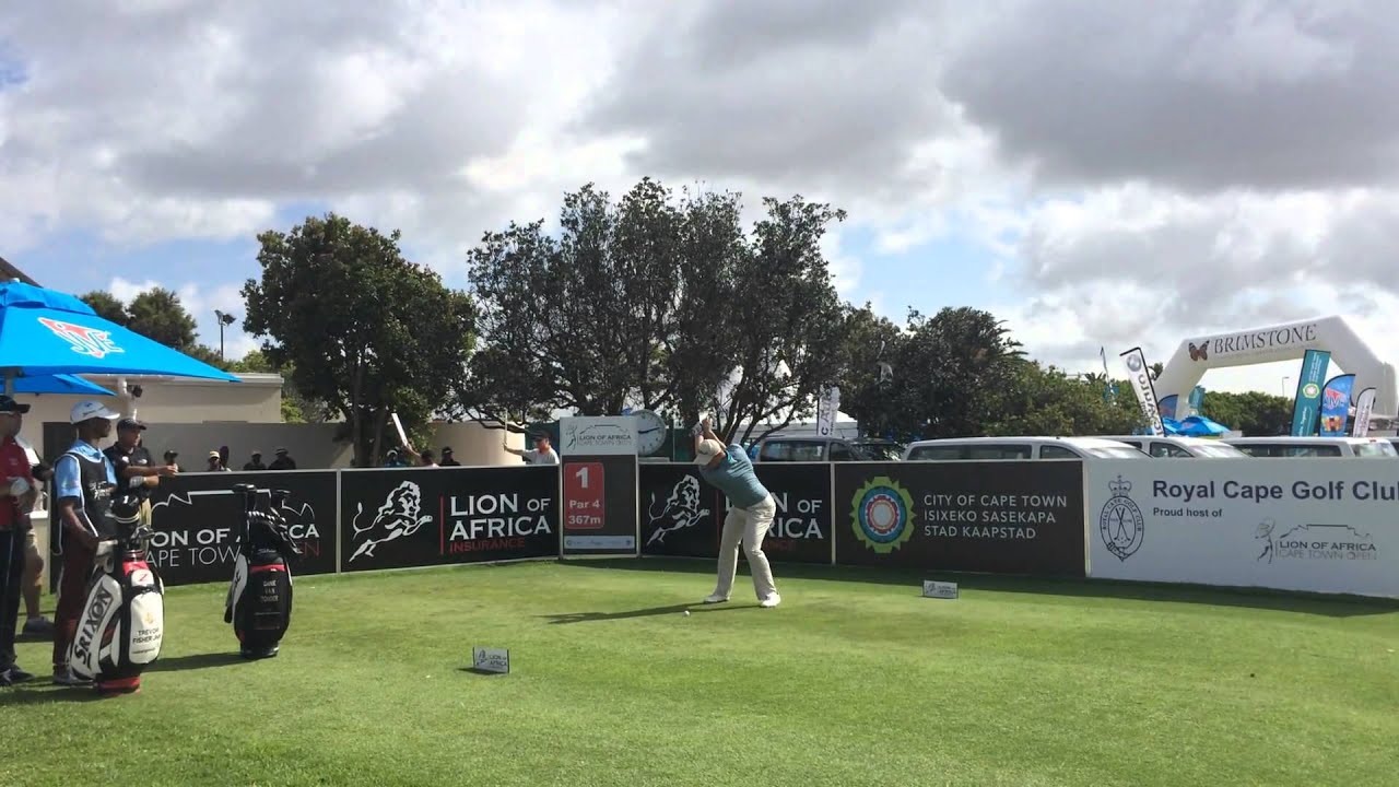 Danie van Tonder's swing