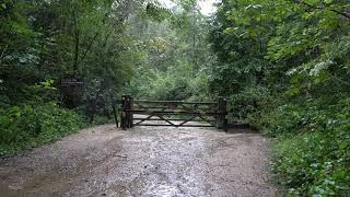 Rainy Path In Cheshire England | Gentle Rainfall For Relaxing, Sleeping Deeply, Insomnia