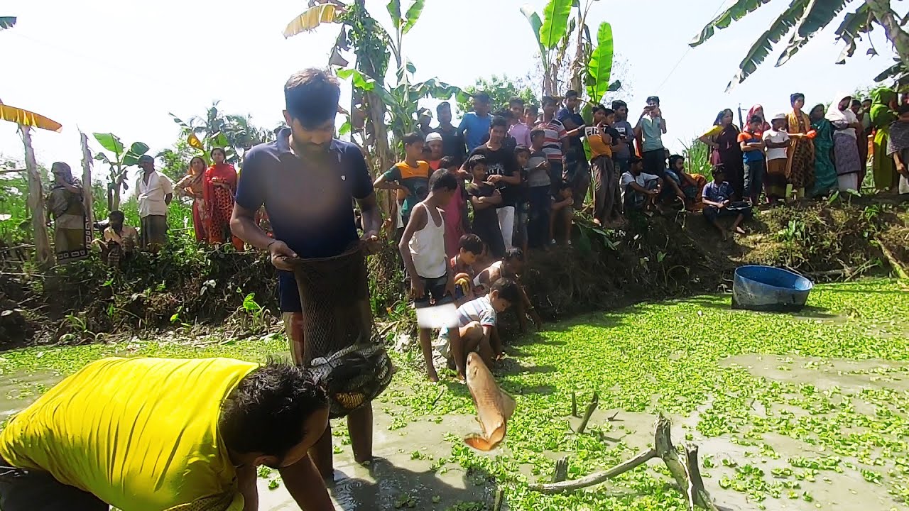 Competition Fishing! Awesome Fish catching by  Polo and hand