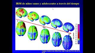 Últimos Avances de las Neurociencias en la Educación