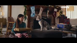 Pets Aren't Just Pets, They're More: Gift Guesser Cat | Chewy Holiday by Chewy 19,753 views 5 months ago 16 seconds