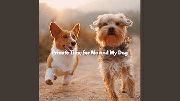 Subtle Moods for Limitless Overtones