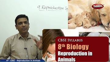 Reproduction in Animals | Class 8th Science-Biology | NCERT | CBSE Syllabus | Live Videos